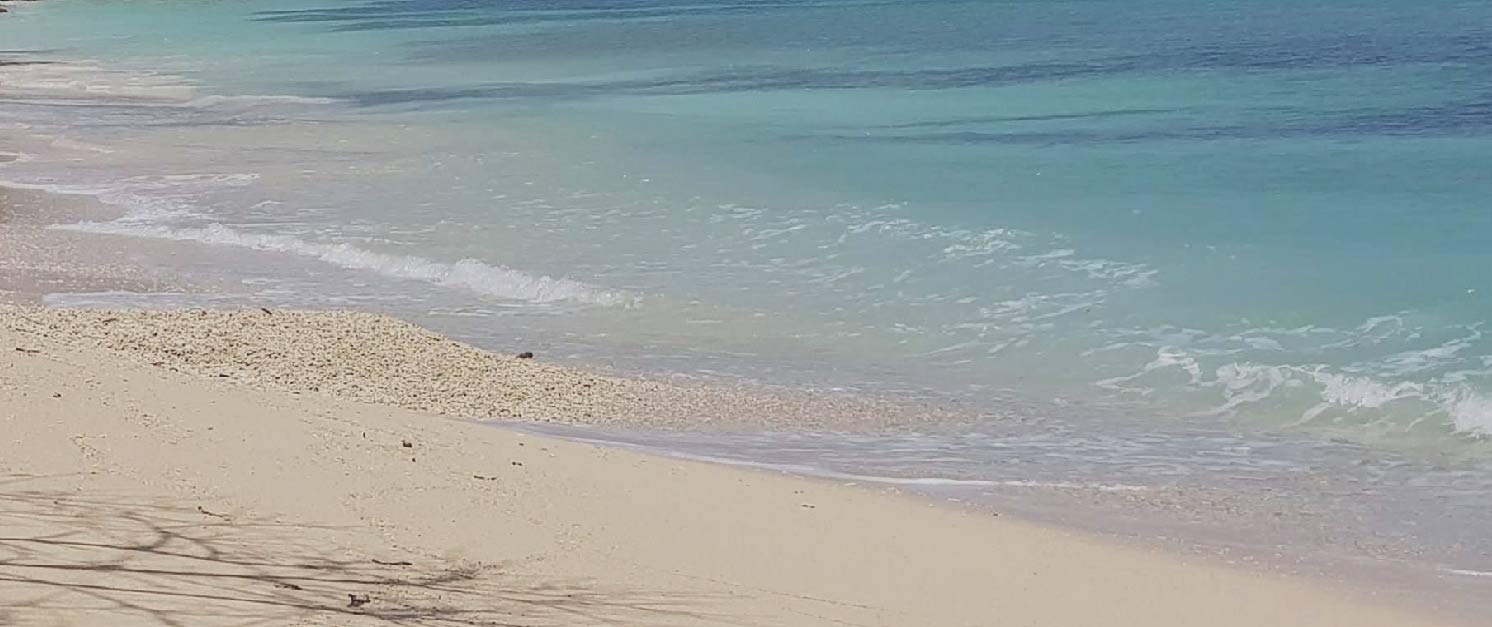 Photo of the hotel Sofitel Barú Cartagena Beach Resort: Sofitelcalablanca gallery09