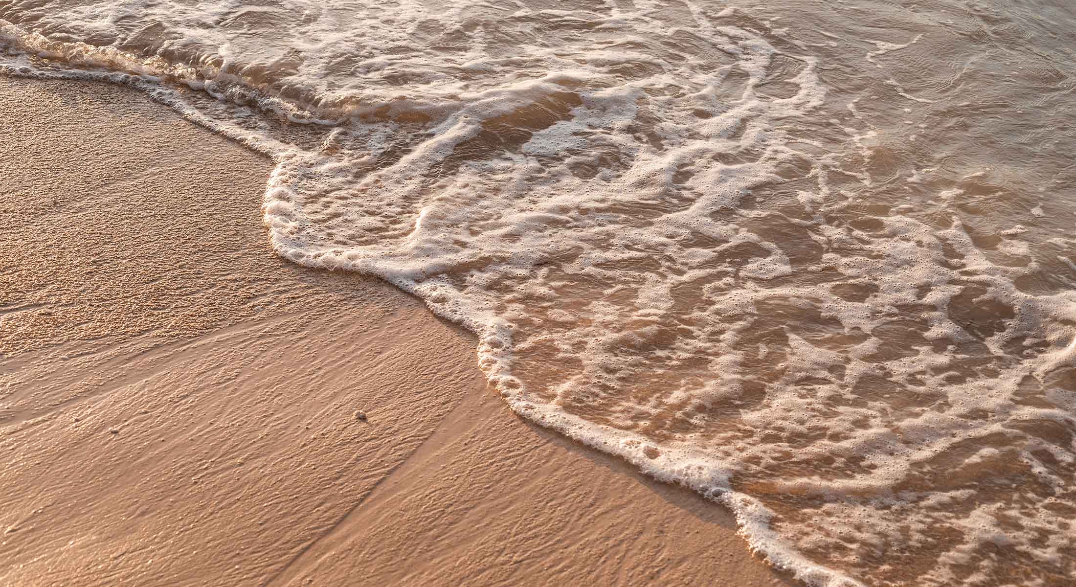 Photo of the hotel Sofitel Barú Cartagena Beach Resort: Sofitel baru calablanca homepage slide01