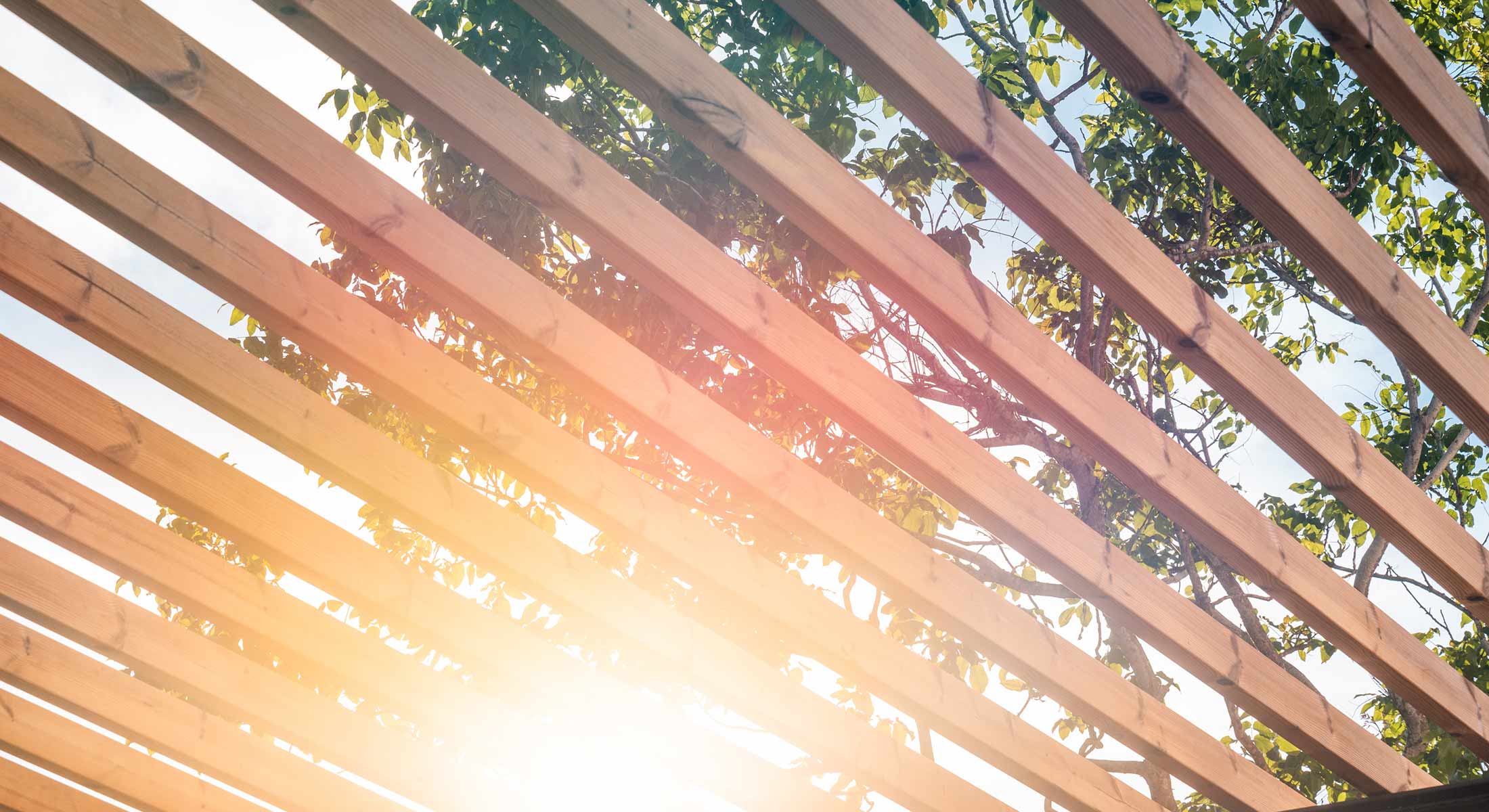 Photo of the hotel Sofitel Barú Cartagena Beach Resort: Sofitel calablanca baru gallery03