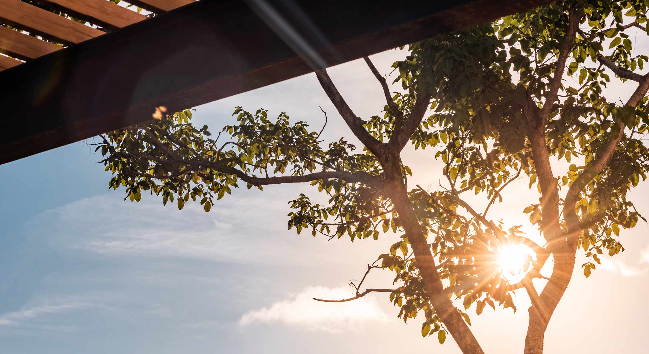 Photo of the hotel Sofitel Barú Cartagena Beach Resort: Sofitel calablanca baru gallery15