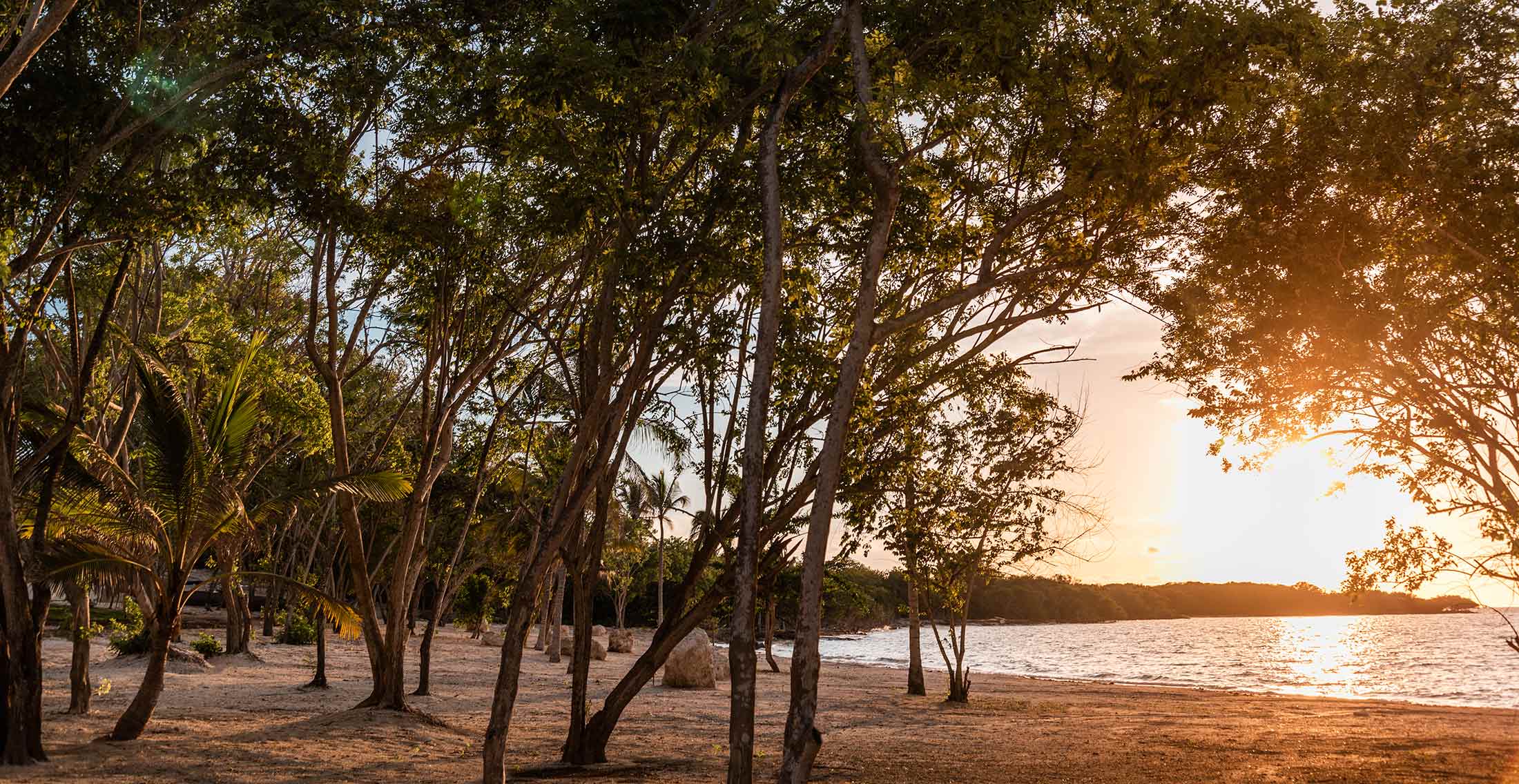 Photo of the hotel Sofitel Barú Cartagena Beach Resort: Sofitel calablanca experiences