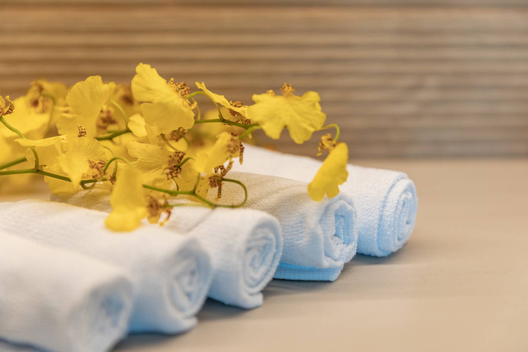 Photo of the hotel Sofitel Barú Cartagena Beach Resort: V2a0647 v ok