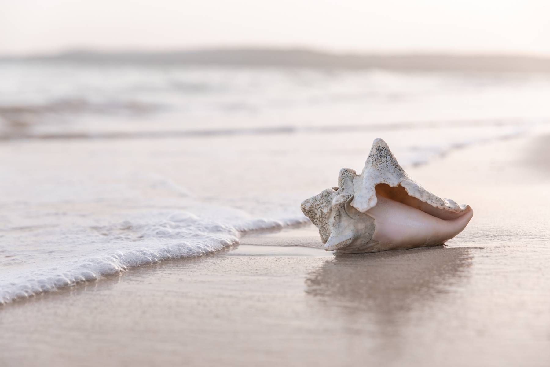 Photo of the hotel Sofitel Barú Cartagena Beach Resort: V2a1525 v ok